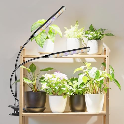 Aumtrly Grow Lights for Indoor Plants, 2 Head 114 LED Full Spectrum Clip on Plant Lights for Indoor Growing with 6/12/16H Timer, 5 Dimming, 3 Light Mode, Black Gooseneck Grow Lamp - Image 1