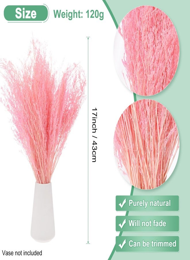 باقة زهور مجففة من إم ميتريكسيتي، باقة زهور ليمونيوم مجففة بطول 17 بوصة لتزيين المنزل/تنسيق الزهور، باقة زهور كاسبيا مجففة من زهور الجيبسوفيلا، زينة طبيعية لمزهرية الطاولة [وردي، 120 غرام] - Image 3