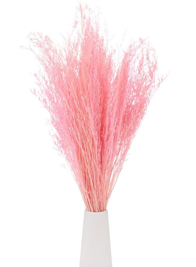 باقة زهور مجففة من إم ميتريكسيتي، باقة زهور ليمونيوم مجففة بطول 17 بوصة لتزيين المنزل/تنسيق الزهور، باقة زهور كاسبيا مجففة من زهور الجيبسوفيلا، زينة طبيعية لمزهرية الطاولة [وردي، 120 غرام] - Image 1