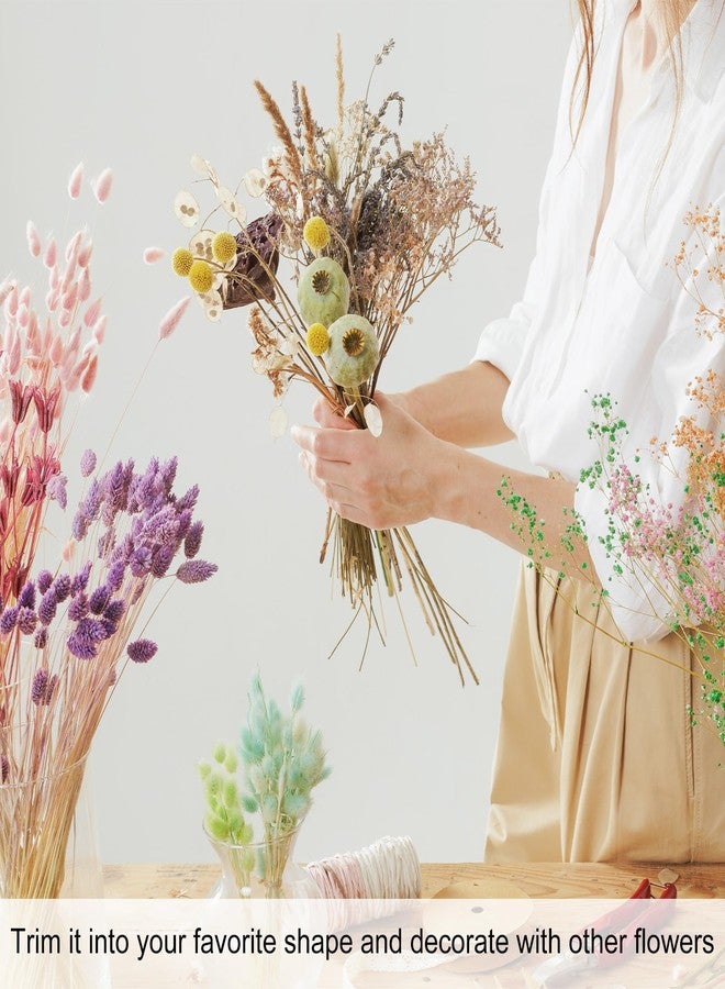 باقة زهور مجففة من إم ميتريكسيتي، باقة زهور ليمونيوم مجففة بطول 17 بوصة لتزيين المنزل/تنسيق الزهور، باقة زهور كاسبيا مجففة من زهور الجيبسوفيلا، زينة طبيعية لمزهرية الطاولة [وردي، 120 غرام] - Image 5