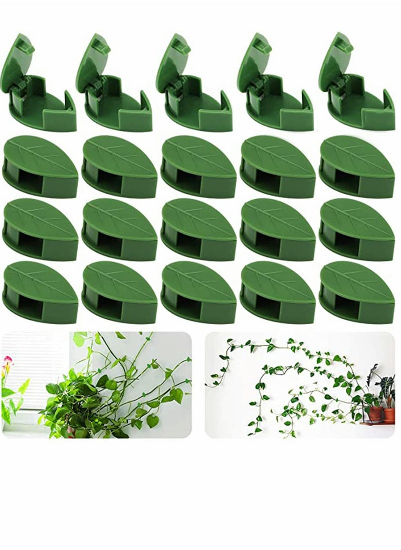 KASTWAVE 100PCS Garden Plant Climbing Wall Fixture Clips, Invisible Self-Adhesive Fixer Sticky Hook Plants Climbing Wall Support Clip for Supporting Stems Grow Upright, Vines Traction  - Image 1
