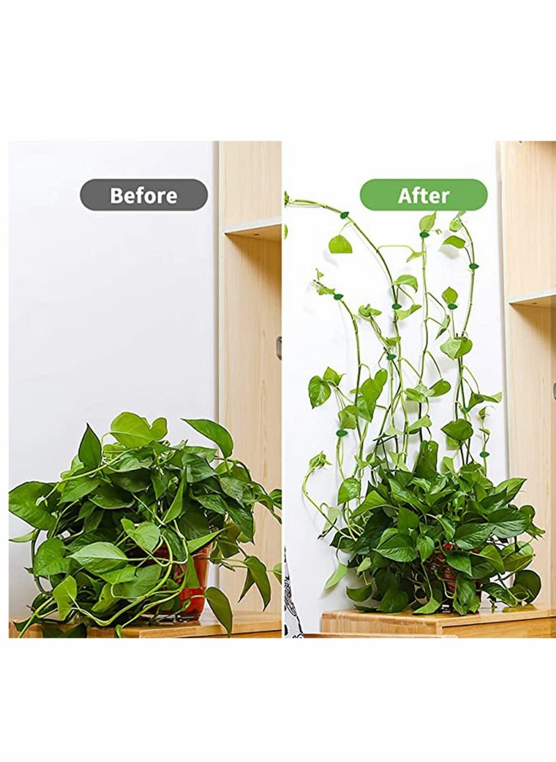 KASTWAVE 100PCS Garden Plant Climbing Wall Fixture Clips, Invisible Self-Adhesive Fixer Sticky Hook Plants Climbing Wall Support Clip for Supporting Stems Grow Upright, Vines Traction  - Image 4