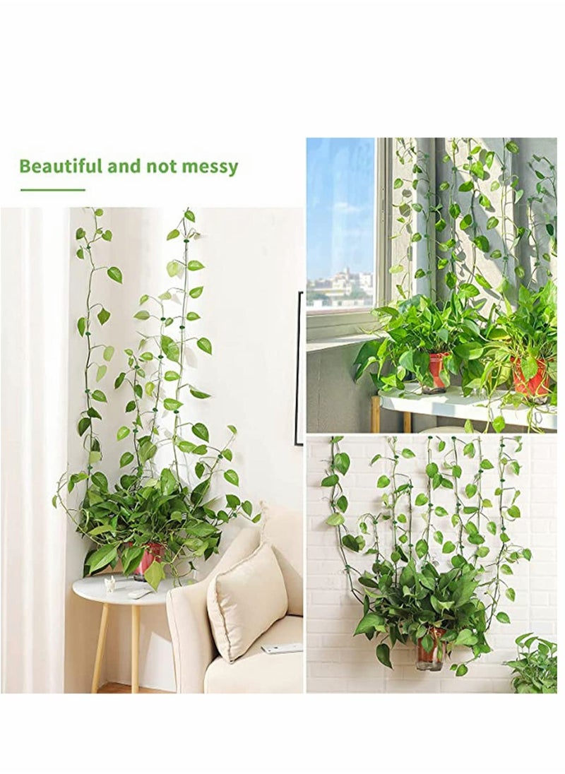 KASTWAVE 100PCS Garden Plant Climbing Wall Fixture Clips, Invisible Self-Adhesive Fixer Sticky Hook Plants Climbing Wall Support Clip for Supporting Stems Grow Upright, Vines Traction  - Image 3