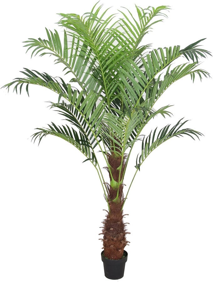 Gorgeous Unique 5 Feet Phoenix Palm Artificial Plant Tree with Nursery Plastic Pot Real Touch Technology 5 Green