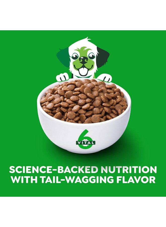 Greenies Smart Essentials Puppy High Protein Dry Dog Food Real Chicken & Brown Rice Recipe, 5.5 lb. Bag - Image 2