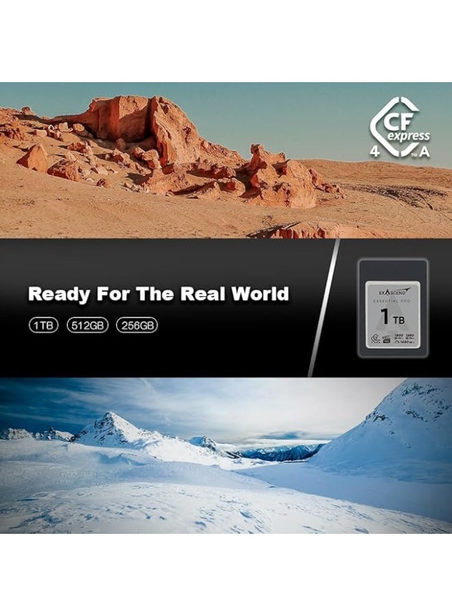 Exascend Essential Pro CFexpress 4.0 Type-A 256GB Memory Card - Image 3