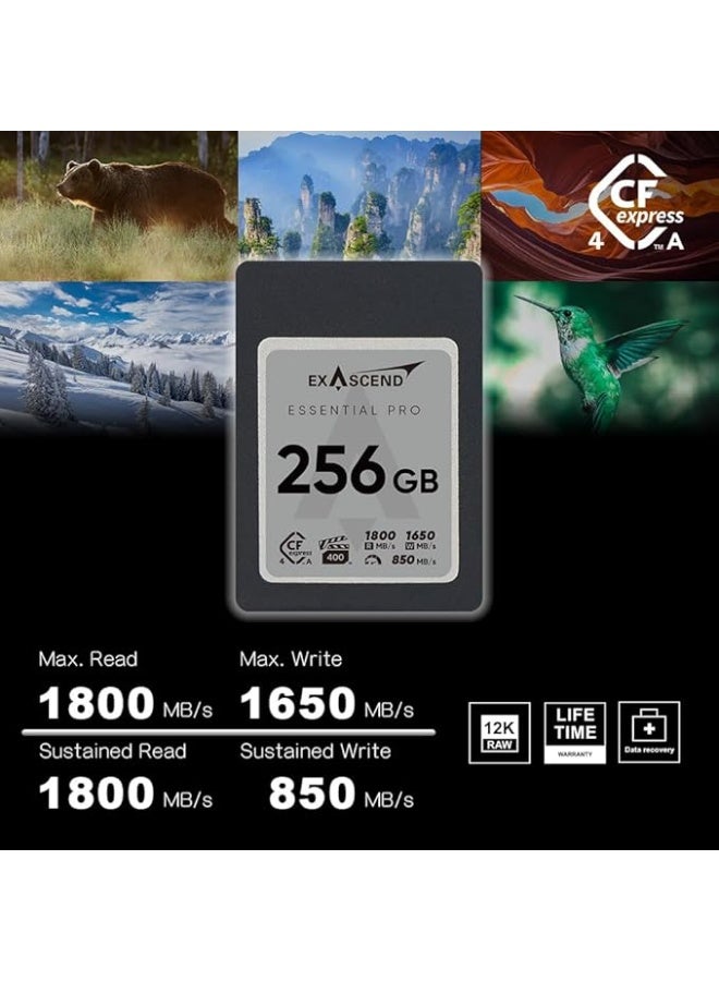 Exascend Essential Pro CFexpress 4.0 Type-A 256GB Memory Card - Image 2