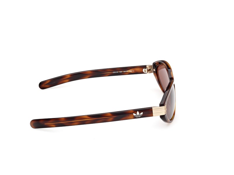 adidas نظارات شمسية واي فيرر - Image 4