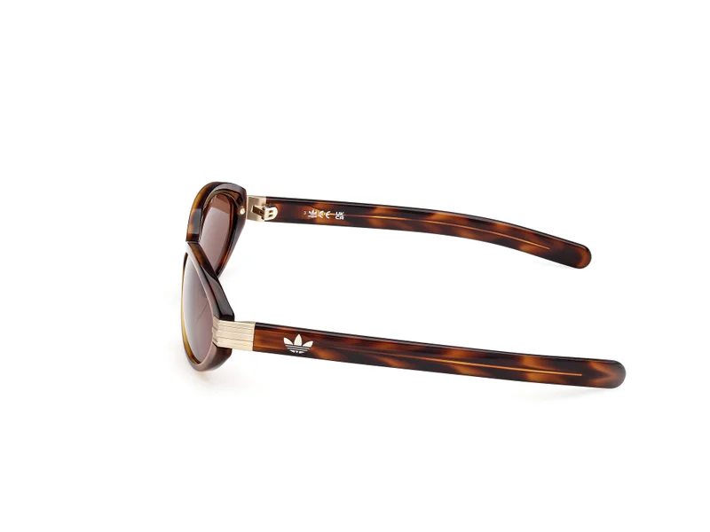 Adidas Wayfarers Sunglasses