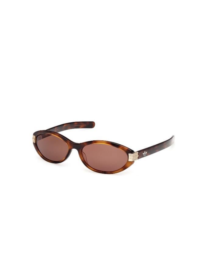 Adidas Wayfarers Sunglasses - Image 1