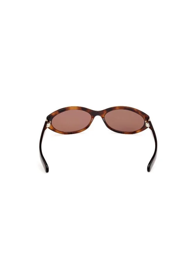 Adidas  Wayfarers Sunglasses  | Best Price UAE