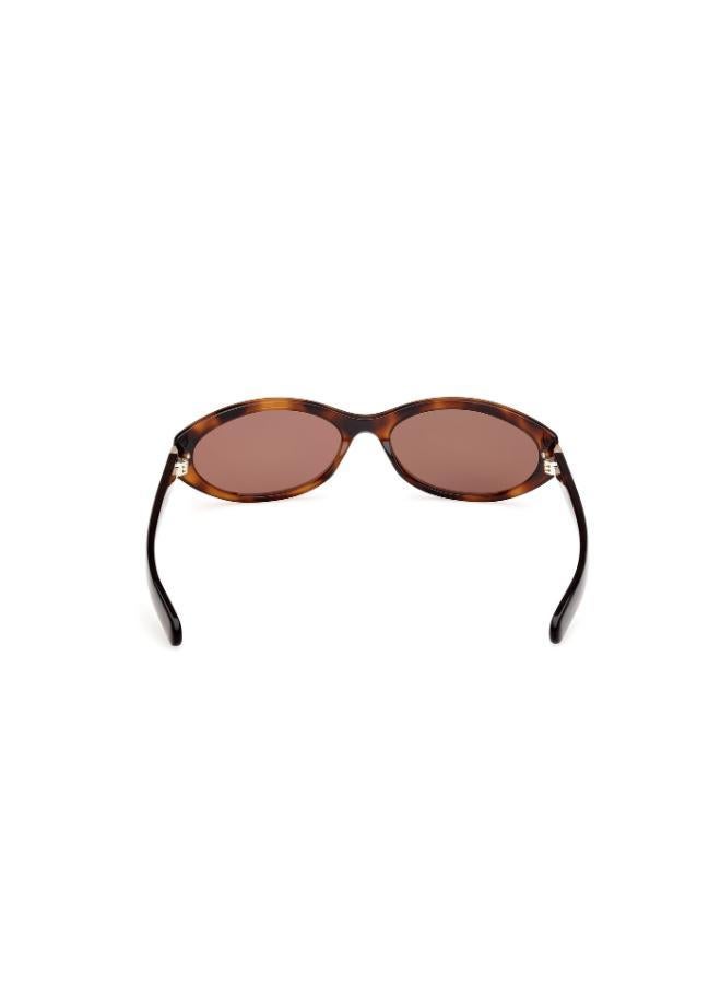 Adidas Wayfarers Sunglasses - Image 3