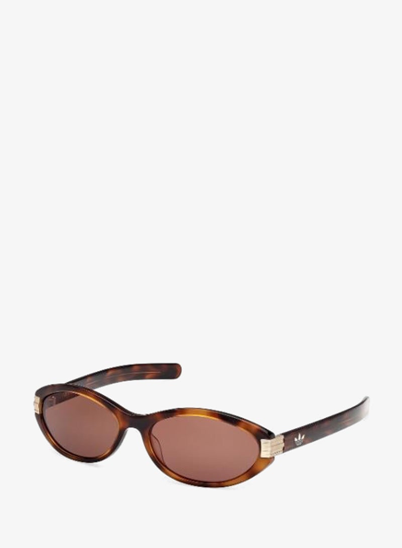 Adidas Wayfarers Sunglasses - Image 1
