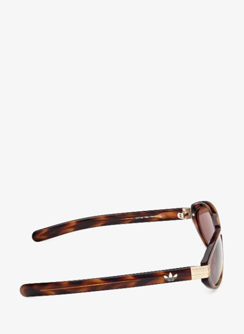Adidas Wayfarers Sunglasses - Image 4