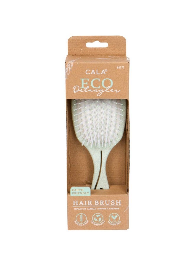 CALA Eco Detangler Paddle Brush: Sage - Image 3