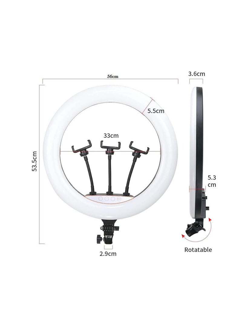 حلقة إضاءة RGB مقاس 56 سم مع حامل موبايل من تيك بلايز – إضاءة احترافية قابلة للتعديل لفيديوهات الانستجرام، تصوير مدونات الفيديو، وتصوير الفيديوهات باستخدام الايفون/موبايلات الاندرويد والكاميرا (56 سم) - Image 2