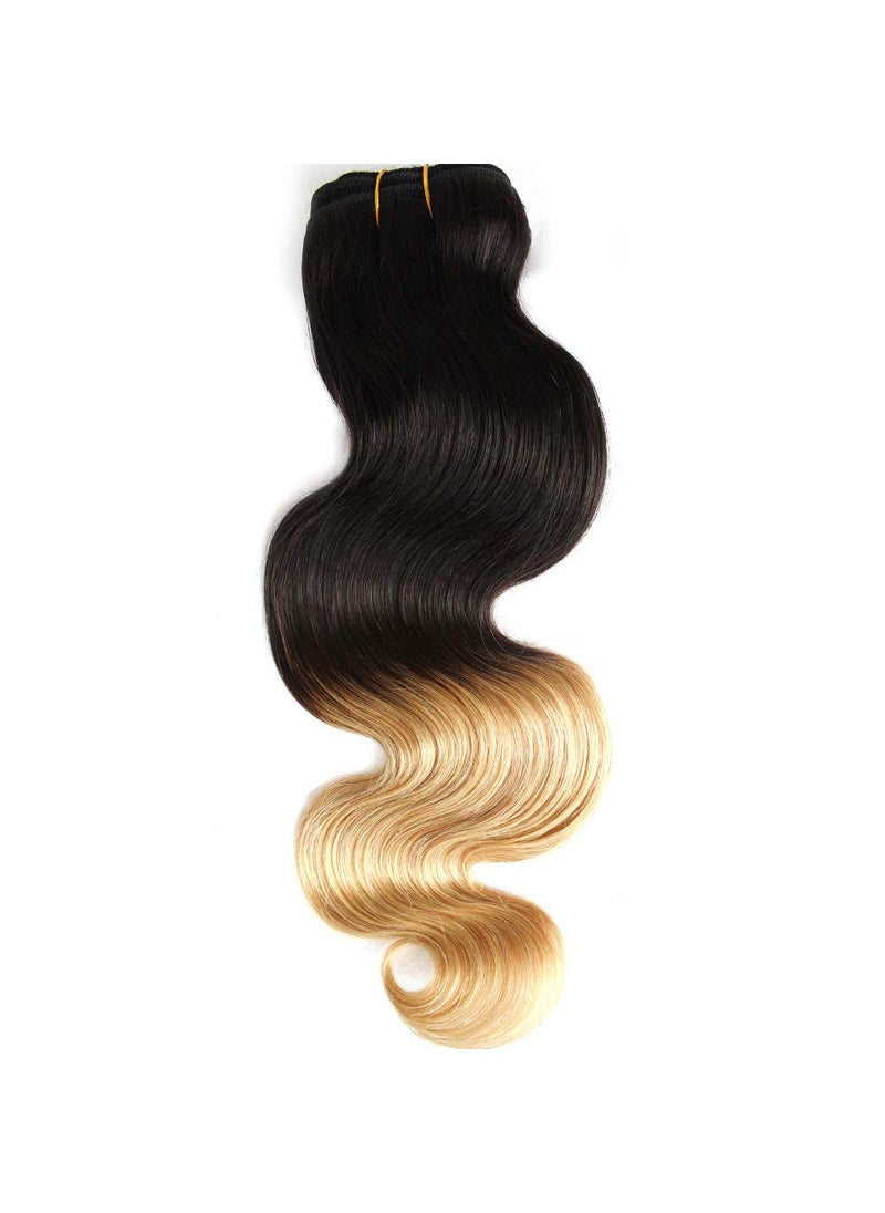 GoldRose - Beauty Ombre Hair Extension Grade 7A Remy Brazilian Virgin Human Hair Body Wave Hair Weave Twotone Color 1B27 8 Inch 1 Bundle - Image 1