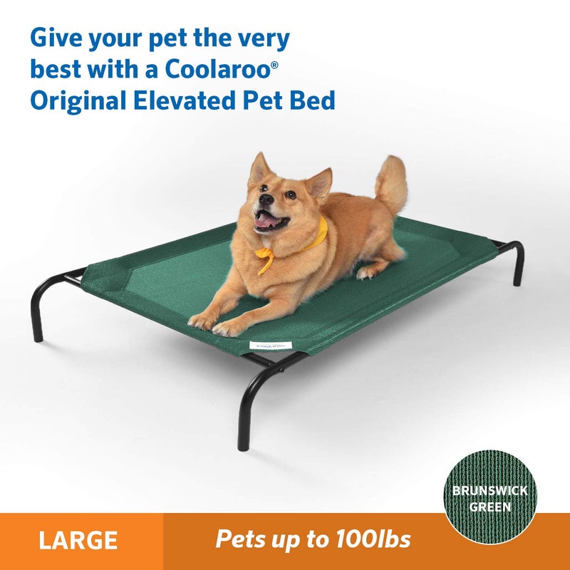 Coolaroo Gale Pacific Coolaroo The Original Cooling Elevated Dog Bed, Indoor and Outdoor, Large, Brunswick Green, 51.00" x 31.50" x 8.00" - Image 2