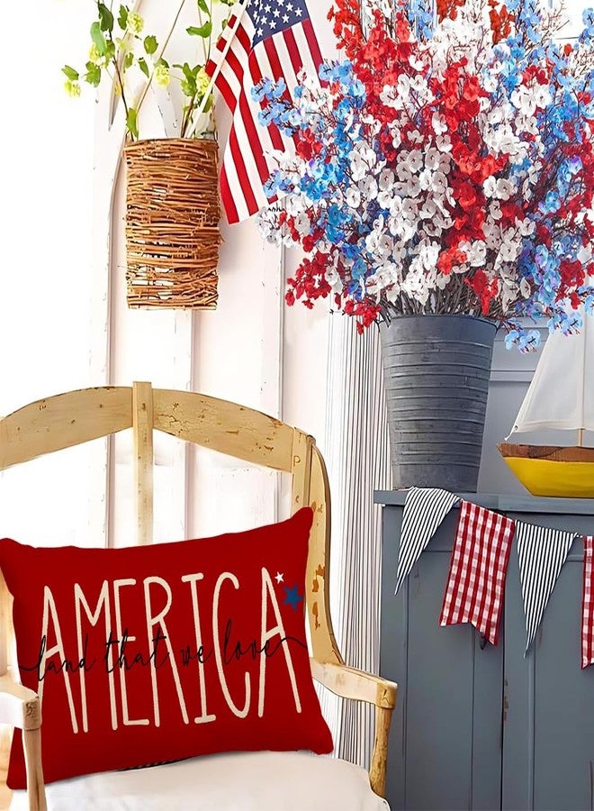 RABUSOFA 4th of July Patriotic Signs Red Throw Pillow Covers,12x20 Inch Memorial Day Outdoor Lumbar Cushion Case Decorations for Sofa Couch(5-12) (20" x 12" (Pack of 1)) - Image 4