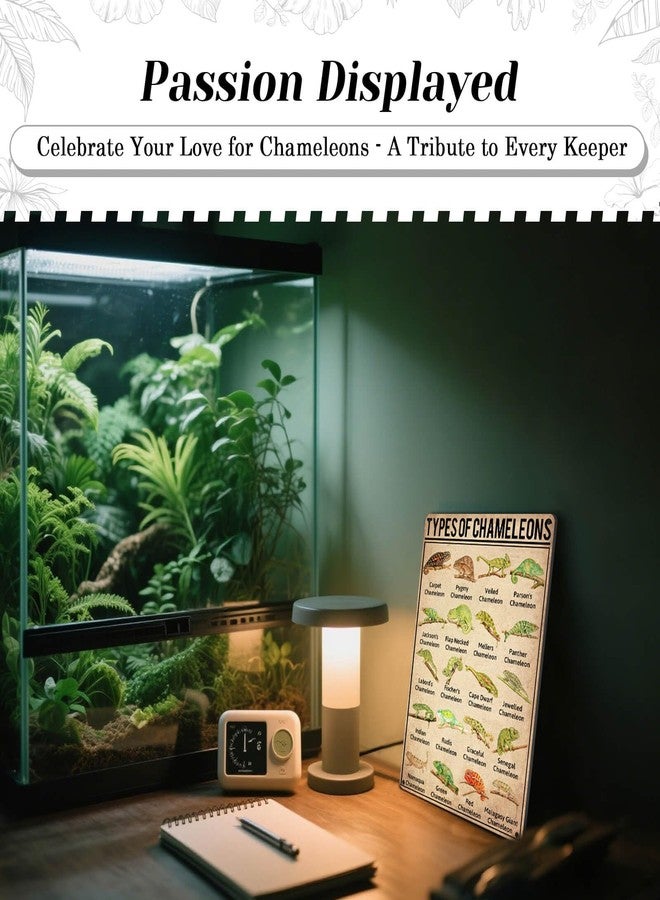 HYBLOM Types Of Chameleons Metal Tin Sign - Vintage Educational Wall Art Poster for Classroom, Office, & Home Decor - Gift for Biology Enthusiasts & Chameleon Lovers, 8x12 Inches - Image 2