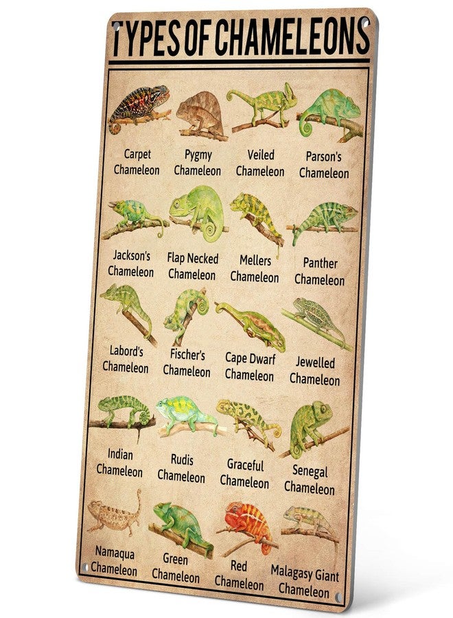 HYBLOM Types Of Chameleons Metal Tin Sign - Vintage Educational Wall Art Poster for Classroom, Office, & Home Decor - Gift for Biology Enthusiasts & Chameleon Lovers, 8x12 Inches - Image 1