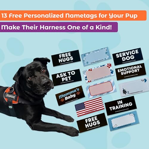 Joyride Harness 2.0 - The Original Side Ring No Pull Dog Harness - No Choke, Escape Proof, Reflective, 3 Leash Clips, Quick Fit Pet Vest - Easy Walks & Training - for Small, Medium & Large Dogs - Image 5