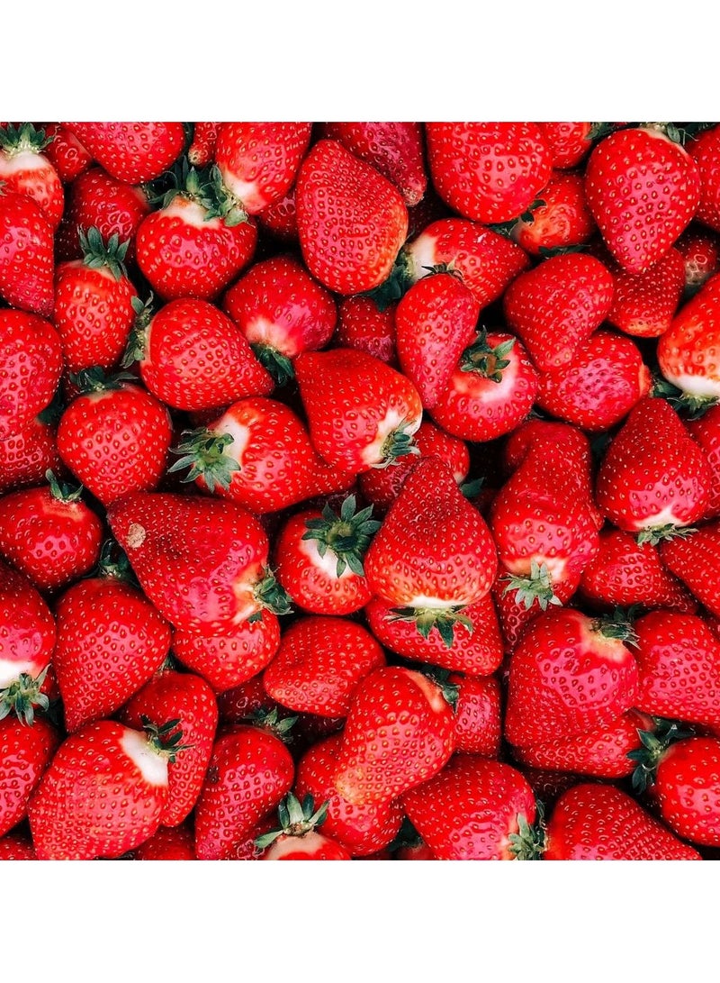 Lovely Delicious Blender Strawberry Ergonomically Shaped 1unit - Image 3