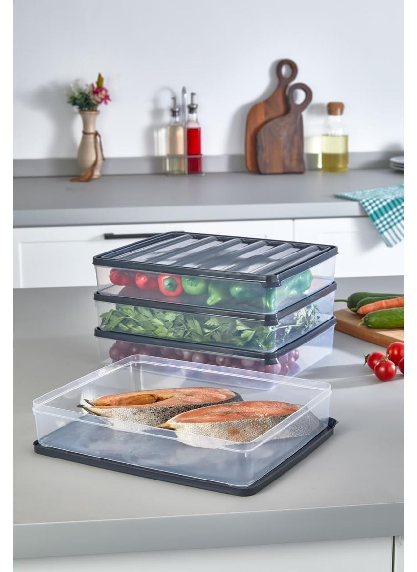 4 Pieces 2.5 Liter Freezer, Legumes, Food Container, Picnic Breakfast Fresh Food Storage Container - pzsku/Z2FB574688A3C1E393E74Z/45/_/1730739258/e1cec513-7078-4ab7-b724-3f5eda072e22