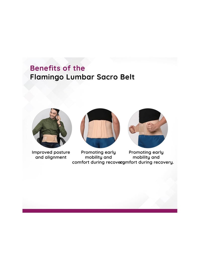 Flamingo Lumbar Sacro Belt For Back Pain Relief | Back Support & Posture Correction | Osteoporosis , Fracture & Injury Recovery | Dual Adjustable Straps | Back Brace For Men & Women | Beige | Size - Image 2