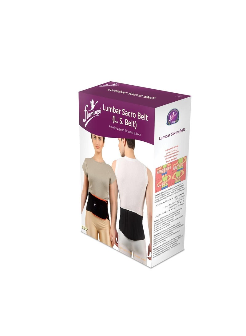 Flamingo Lumbar Sacro Belt For Back Pain Relief | Back Support & Posture Correction | Osteoporosis , Fracture & Injury Recovery | Dual Adjustable Straps | Back Brace For Men & Women | Beige | Size - Image 1