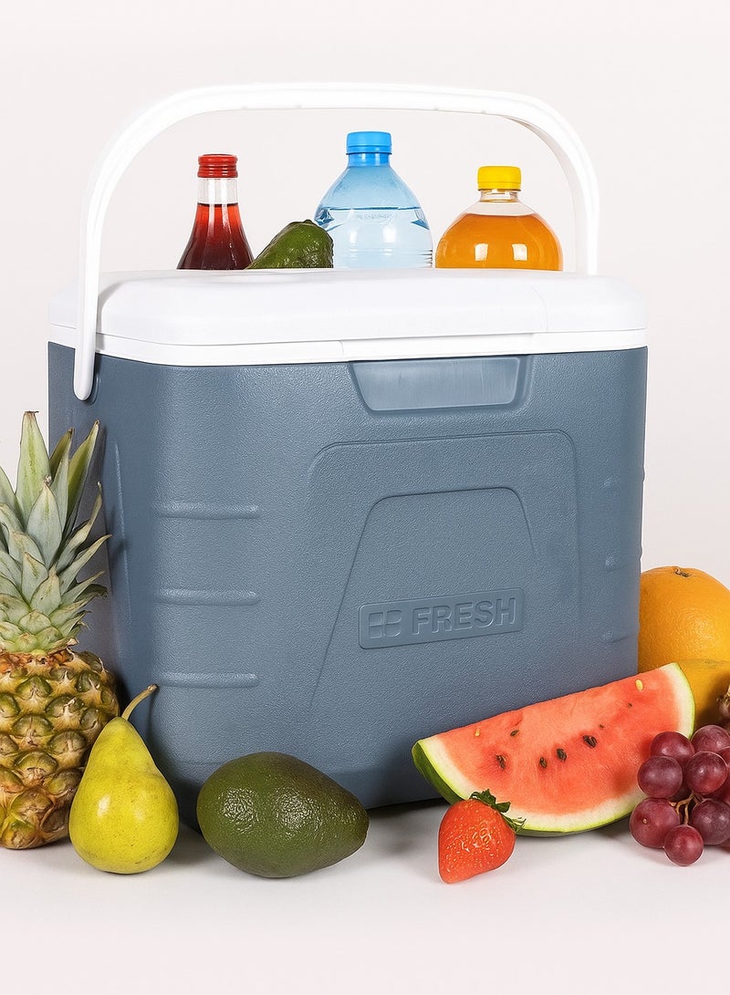 فريش صندوق تبريد بمقبض سعة 22 لتر رمادي/أبيض - Image 3