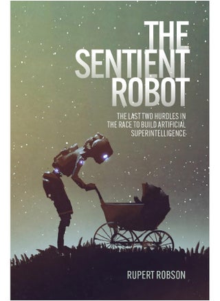 The Sentient Robot: The Last Two Hurdles in the Race to Build Artifici - pzsku/Z2FB8AF796E8C9866DAC4Z/45/_/1742461850/d64e0bc7-90c7-4024-8614-c9f50b671c3f