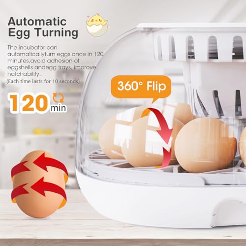 Viowey Incubators for Hatching Eggs, 12 Egg Incubator with Automatic Turning and Temperature Control, Automatic Water Adding, LED Egg Candler, for Hatching Chickens, Duck, Quail, Goose Eggs - Image 3