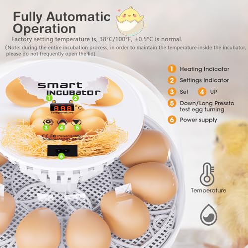 Viowey Incubators for Hatching Eggs, 12 Egg Incubator with Automatic Turning and Temperature Control, Automatic Water Adding, LED Egg Candler, for Hatching Chickens, Duck, Quail, Goose Eggs - Image 2