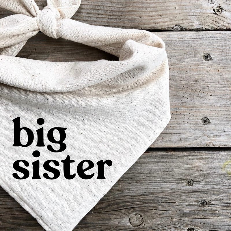 رباط رأس الكلب لإعلان الحمل الأخت الكبرى كشف الطفل لون الشوفان الكريمي المحايد للإعلان للعائلة كبير - Image 3