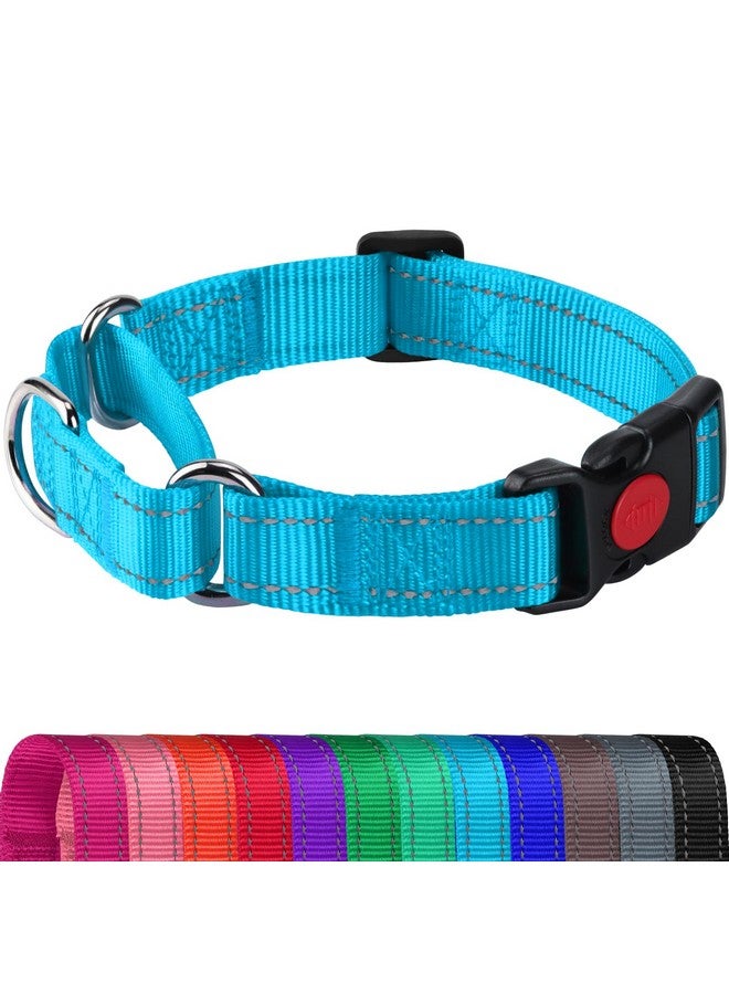 Joytale Martingale Collar for Dogs, Reflective Heavy Duty for Safety, Quick Release Buckle, Adjustable Nylon Collars for Small Dogs Walking Training, Sky Blue,S - Image 1