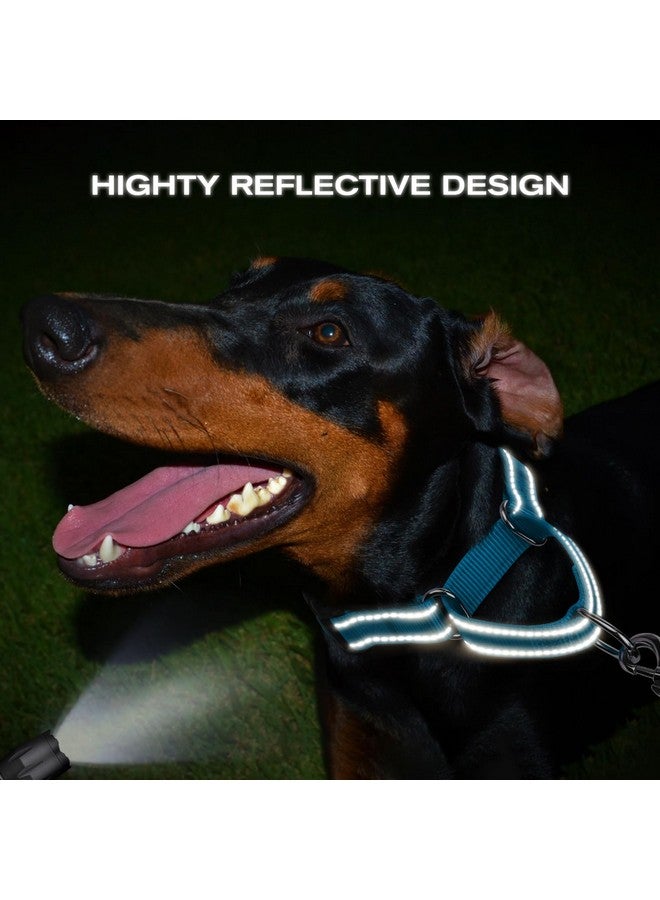 Joytale Martingale Collar for Dogs, Reflective Heavy Duty for Safety, Quick Release Buckle, Adjustable Nylon Collars for Small Dogs Walking Training, Sky Blue,S - Image 5