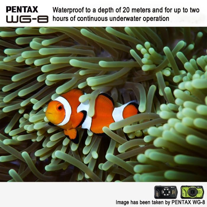 Pentax كاميرا مغامرات PENTAX WG-8 سوداء لجميع الأحوال الجوية، تتميز بأداء ممتاز مقاوم للماء والغبار والصدمات، مع ضوء حلقي متعدد الاستخدامات للتصوير الماكرو ووظيفة كاميرا الويب - Image 5