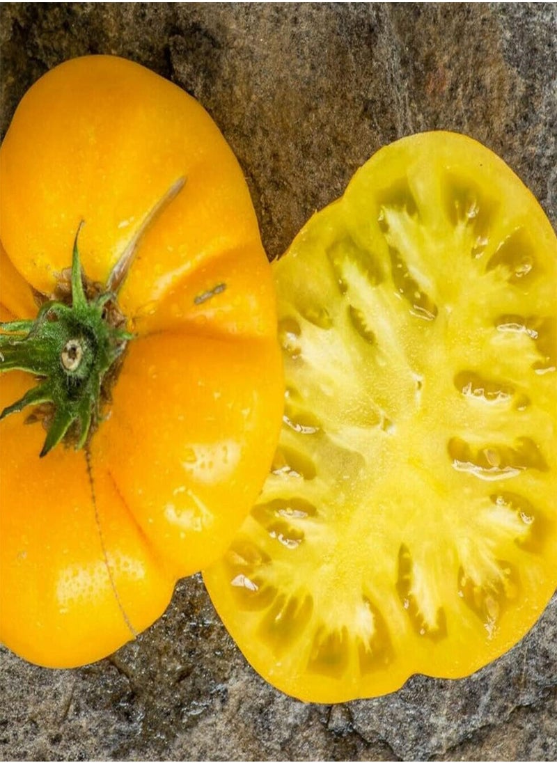 بذور طماطم أزويتشكا - Solanum Lycopersicum، زراعة الحدائق المنزلية بواسطة Heavy Torch، 100 بذرة