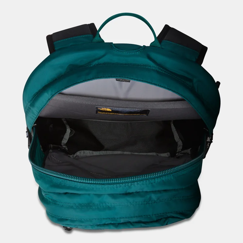 THE NORTH FACE Borealis Classic Backpack