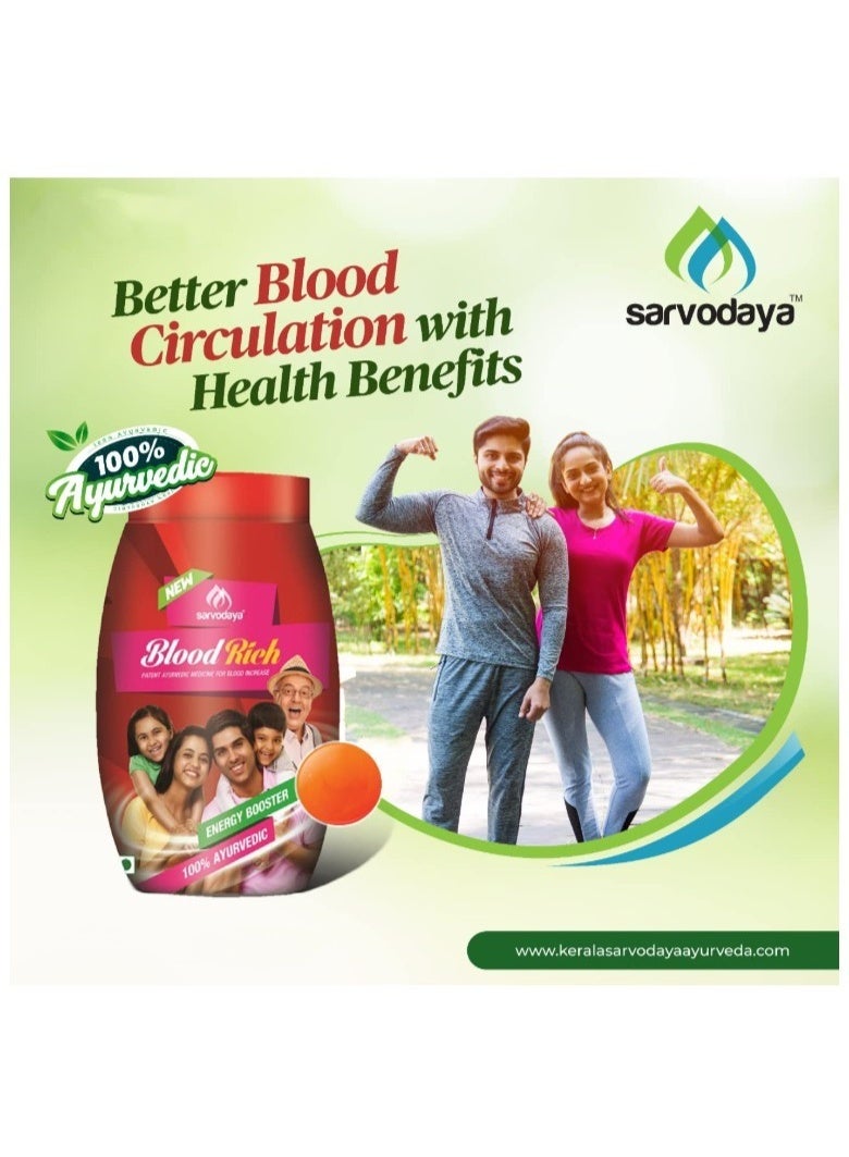 ayurvedic Sarvodaya Blood Rich 450g | Ayurvedic Herbal Powder for Blood Health, Energy & Overall Wellness - Image 4