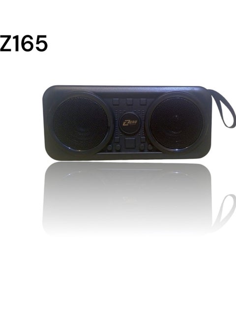 A solar-powered rechargeable radio that supports a flash drive and a memory card and runs on solar energy with a black Z165 flashlight - Black