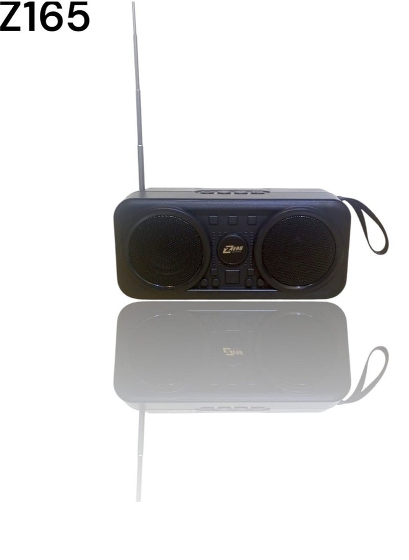 A solar-powered rechargeable radio that supports a flash drive and a memory card and runs on solar energy with a black Z165 flashlight - Black