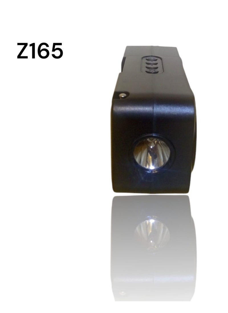 A solar-powered rechargeable radio that supports a flash drive and a memory card and runs on solar energy with a black Z165 flashlight - Black