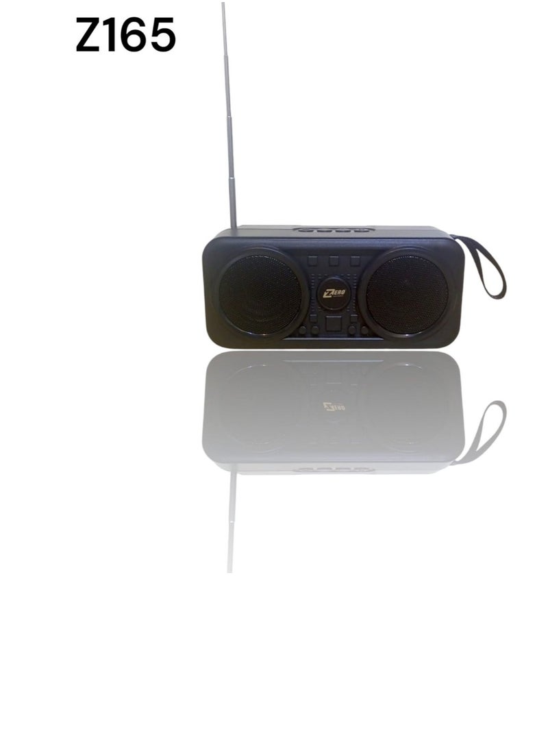 A solar-powered rechargeable radio that supports a flash drive and a memory card and runs on solar energy with a black Z165 flashlight - Black