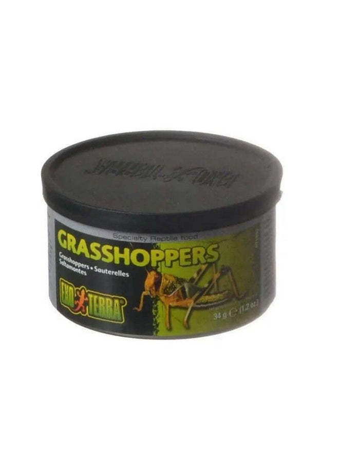 Exo Terra Exo Terra Specialty Reptile Food, Canned Grasshoppers for Reptiles 