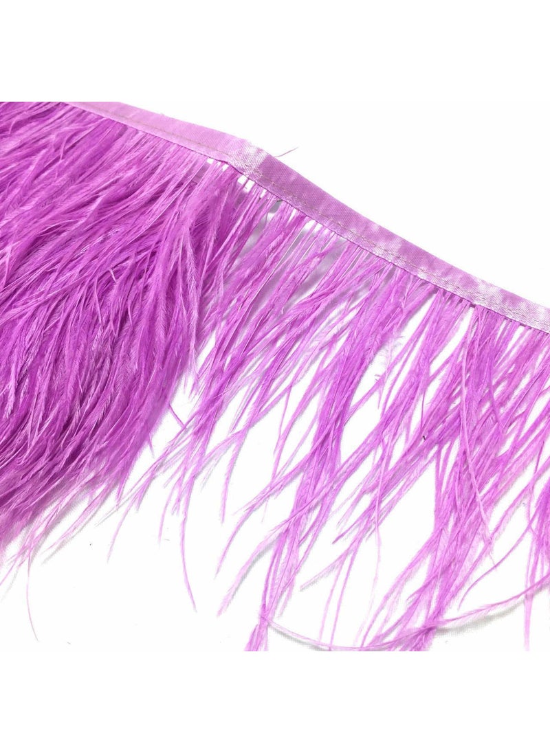 Embroidered Ostrich Feather Lilac 12 cm 1 Meter - pzsku/Z2FC02071F294A447E6D6Z/45/_/1741272246/044a1bdd-aa11-41d9-bdb2-4ebec68e7670