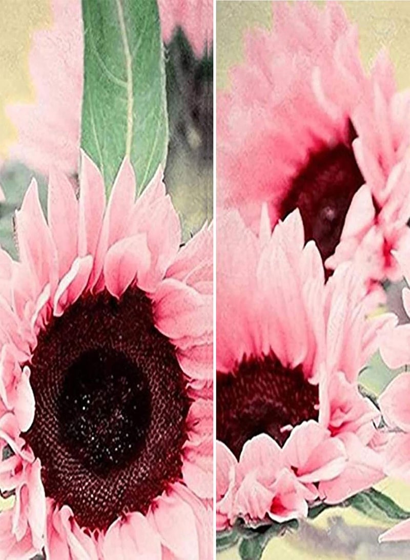 GGOOT 50Pcs Premium Flower Seeds, Seeds Natural Large Water Demand Flower Pink Sunflower Seeds for Window Sunflower Seeds - Image 5