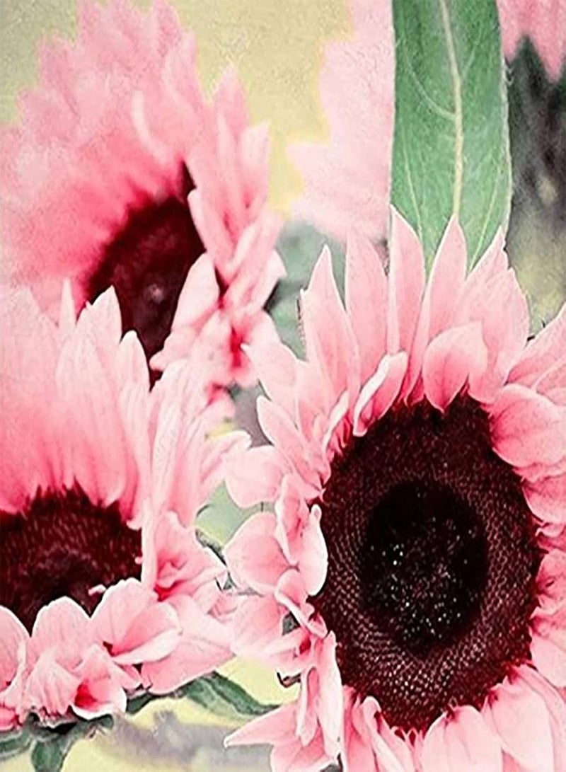 GGOOT 50Pcs Premium Flower Seeds, Seeds Natural Large Water Demand Flower Pink Sunflower Seeds for Window Sunflower Seeds - Image 1