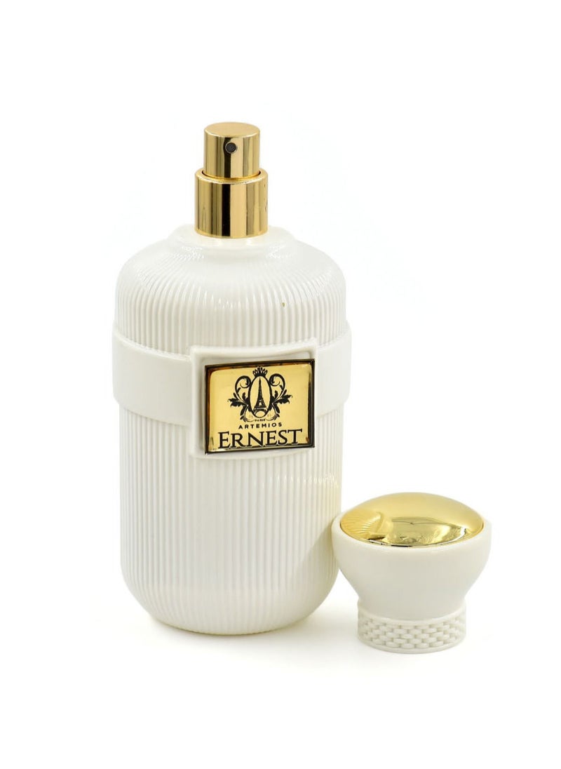 ARTEMIOS - ARTEMIOS ERNEST DE ARTEMIOS EDP 100ML - Image 1